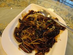 -新聚丰菜馆(太监弄店)