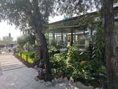 -蘇河湾·新鲁菜·泰山宴(泰山店)