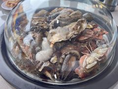 -大锅强·蒸海鲜青岛菜(吾悦广场店)