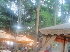 -二荆条·蜀鲜汇城市森林火锅