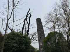 -上海佘山国家森林公园天马山园