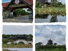 -上海海湾国家森林公园