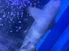 -常州海昌海洋探索馆