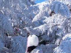 -崂山巨峰游览区