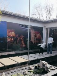 -爱儿美儿童摄影(朝阳公园店)