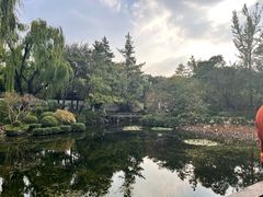 -秋霞圃