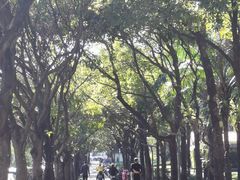 -深圳龙潭公园