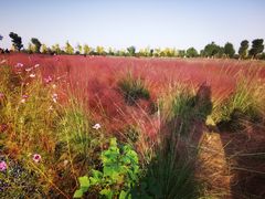 -汉长安城未央宫国家考古遗址公园