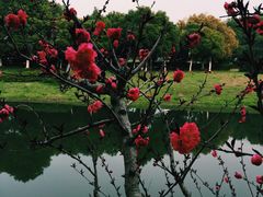 -江南大学(蠡湖校区)