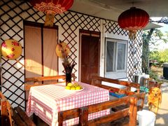 -樂桃源奉贤黄桃种植采摘基地