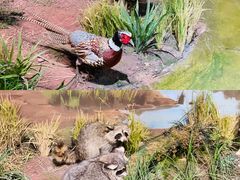 -陕西自然博物馆