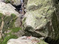 -藏龙百瀑风景区