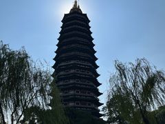 -红梅公园