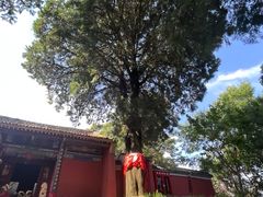 -少华山国家森林公园