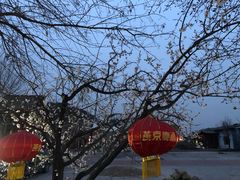 -燕北云山·农家菜·灶台鱼(密云溪翁庄店)