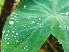 -艾溪湖湿地公园