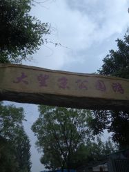 -大望京儿童游乐场