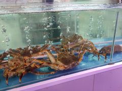 水产区-四海蒸鲜蒸汽海鲜自助(北戴河店)