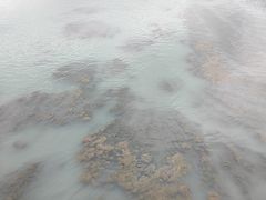-北川巴拿恰