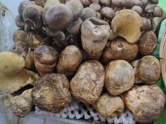 -野菌王•养生汤锅•野生菌火锅(大理漾濞路店)