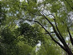 -石燕湖生态旅游景区
