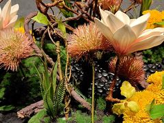 -徐记海鲜(曲江南湖店)