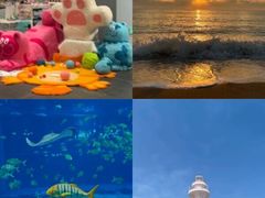 -巧克力渔家.小船海鲜胶东菜(万平口店)