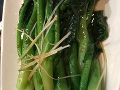 广东菜心-粤港餐厅(禹州商业广场店)