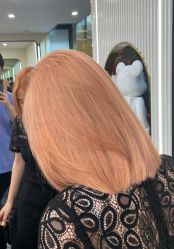 -IP SALON