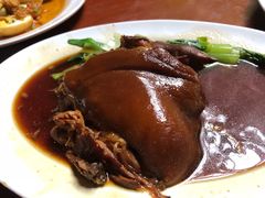 -绿光森林餐厅