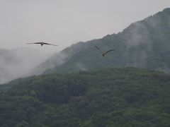 -西湖游船