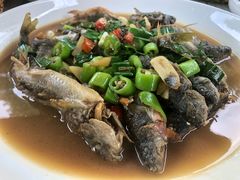 烧石斑鱼-临江宴餐厅·桐庐菜(富春江店)