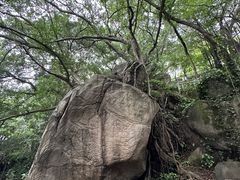 -乌山风景区
