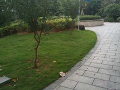 -宝能国际体育演艺中心