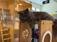 -平行世界·猫咖(首经贸店)