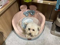 -FAELING PETS美天灵宠物(富力广场店)