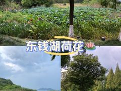 -东钱湖旅游度假区