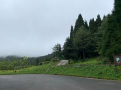 -武陵山森林公园