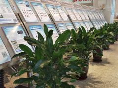 -上海交通大学医学院附属瑞金医院(总院)