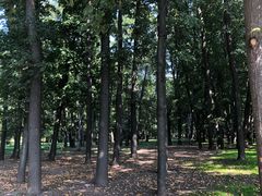 -莫斯科大学