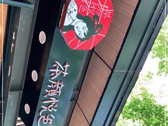 -茶颜悦色(岳麓山顶店)
