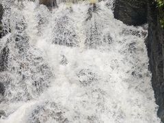 -牛背梁国家森林公园