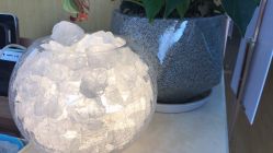 -WENDY·温迪皮肤管理