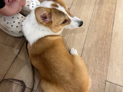 -天井·丑面包搭咖啡