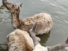 -宁波杭州湾国家湿地公园