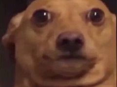 -嘎嘎鸭下巴·爆辣干锅(明教寺店)