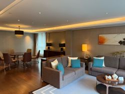 -巍阁高端月子会所