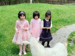 -田园东方蜜桃村的田野营地