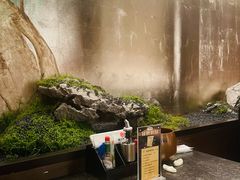 -吉川谷谷·铁板烧烤肉放题(石景山台湾街店)