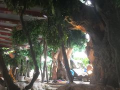 -中铁花水湾四季温泉谷